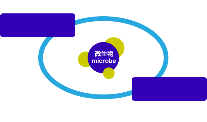 微生物 microbe